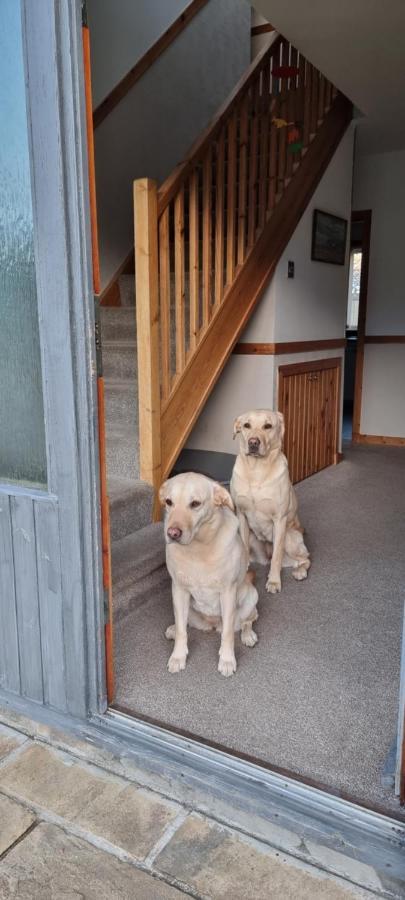 Bed and Breakfast Bb@No17 à Aviemore Extérieur photo